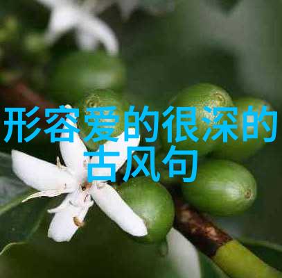 无言树诗歌