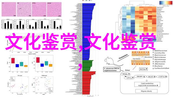 董晓萍跨文化的天鹅敦煌学与中国故事学